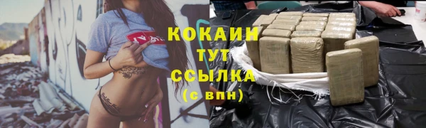 ALPHA PVP Богородицк