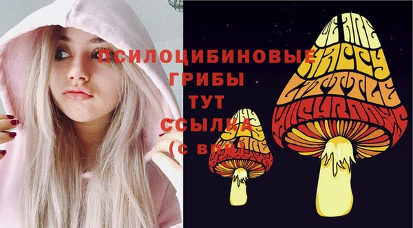 стафф Карпинск