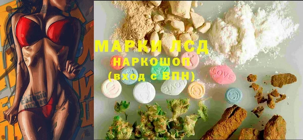 стафф Карпинск