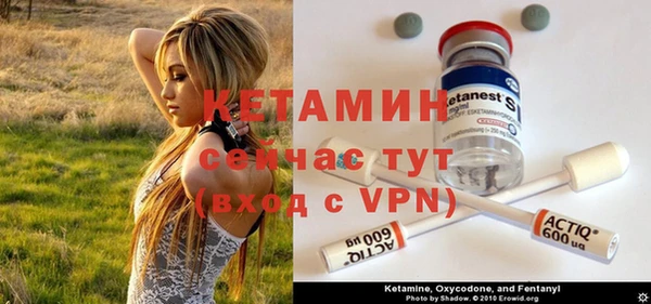 стафф Карпинск