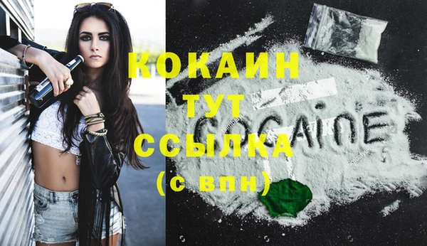 стафф Карпинск