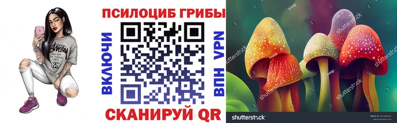 mega вход  Новочебоксарск  Галлюциногенные грибы Psilocybe 