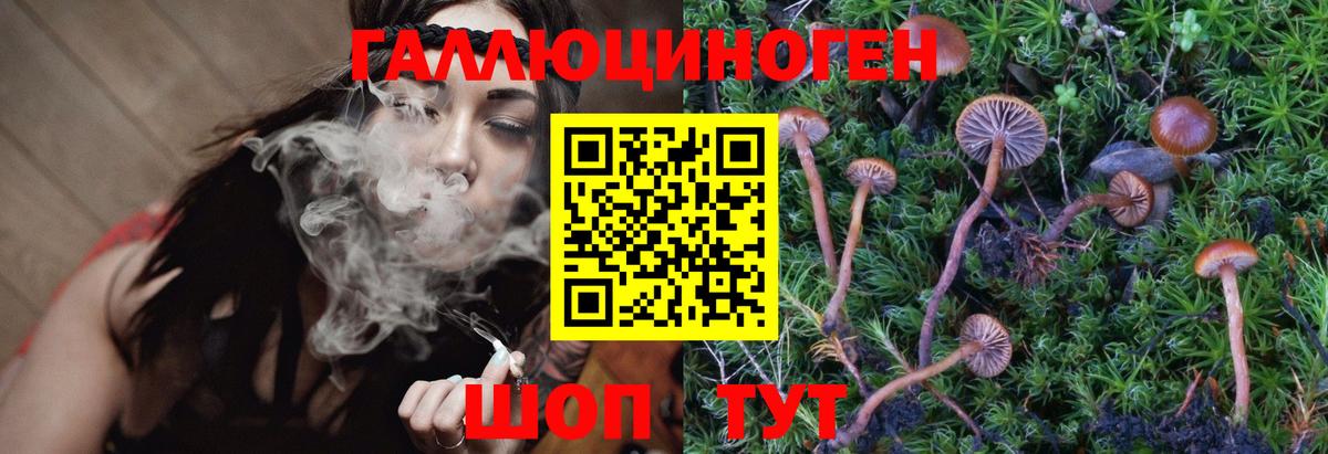 Галлюциногенные грибы Magic Shrooms  Галлюциногенные грибы прущие грибы  Новочебоксарск 